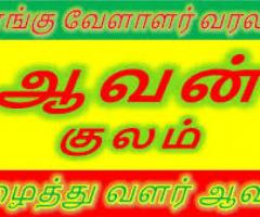 Aavan Kulam Kongu Vellalar Kootam